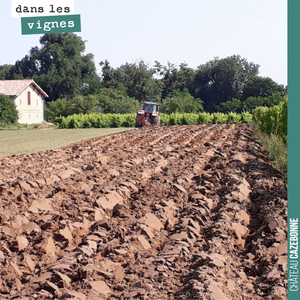 On prépare les sols pour préparer la plantation de nos cépages anciens. Ici sur la parcelle de Couet.
On attaque jeudi matin à 6h.
On en a pour deux jours.