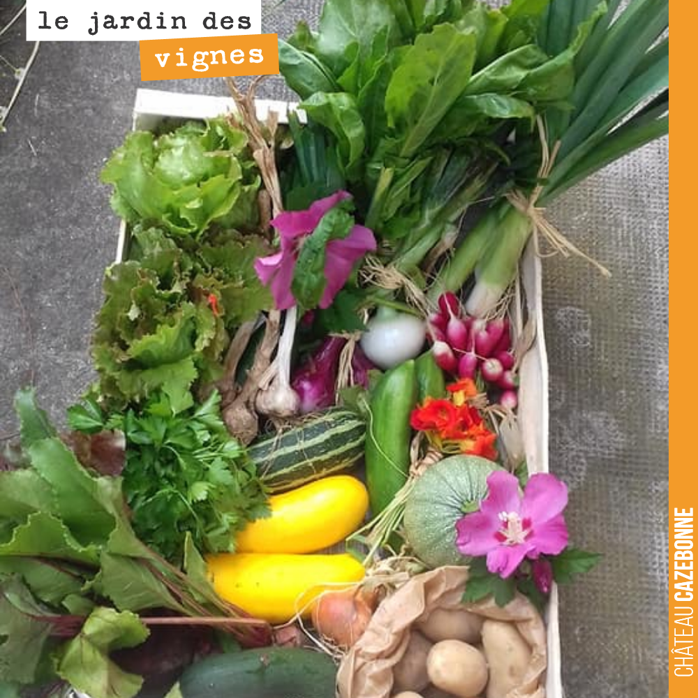 Le panier de la mariée.
Francis a décidé d’offrir un panier de légumes du jardin des vignes, en guise de cadeau de mariage à une collègue. Sympathique, non ?