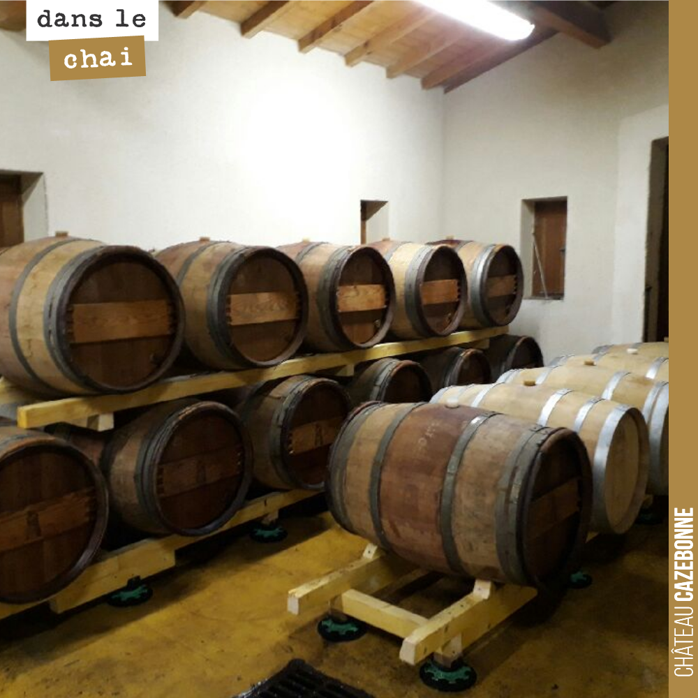 Nos rouges 2017 continuent leur élevage dans notre petit chai à barrique.
On devrait les mettre en bouteille à la sortie de l'hiver.