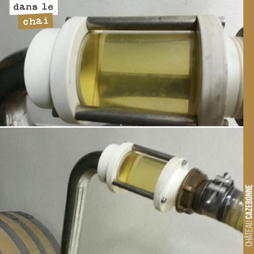 On a soutiré les sémillons 2017 depuis les barriques afin de les assembler en cuve.
Il n'y en aura pas beaucoup cette année. Un peu plus de 1600 bouteilles.