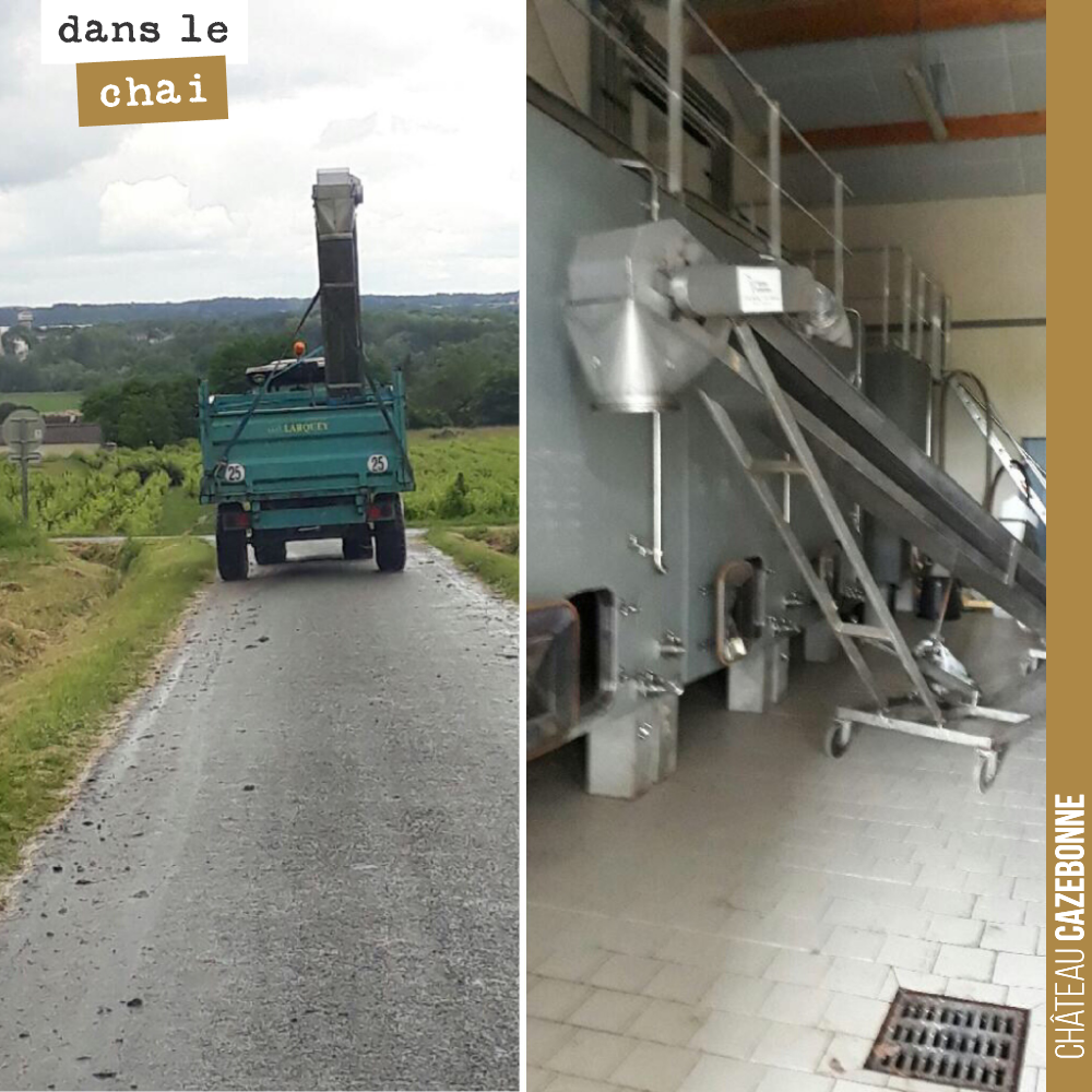Nous sommes très content de cette dernière acquisition. Cette 'girafe' devrait nous permettre de remonter de la vendange directement dans la cuve, sans avoir à utiliser de pompe. Cela nous donne la...