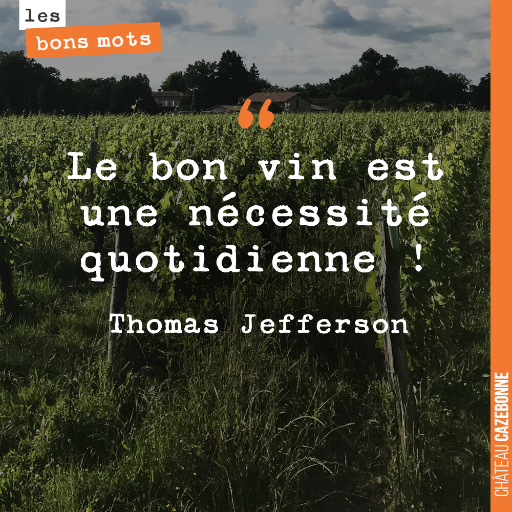 Le bon vin est une nécessité quotidienne !