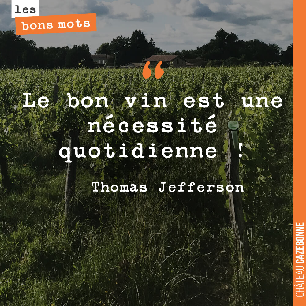Le bon vin est une nécessité quotidienne !