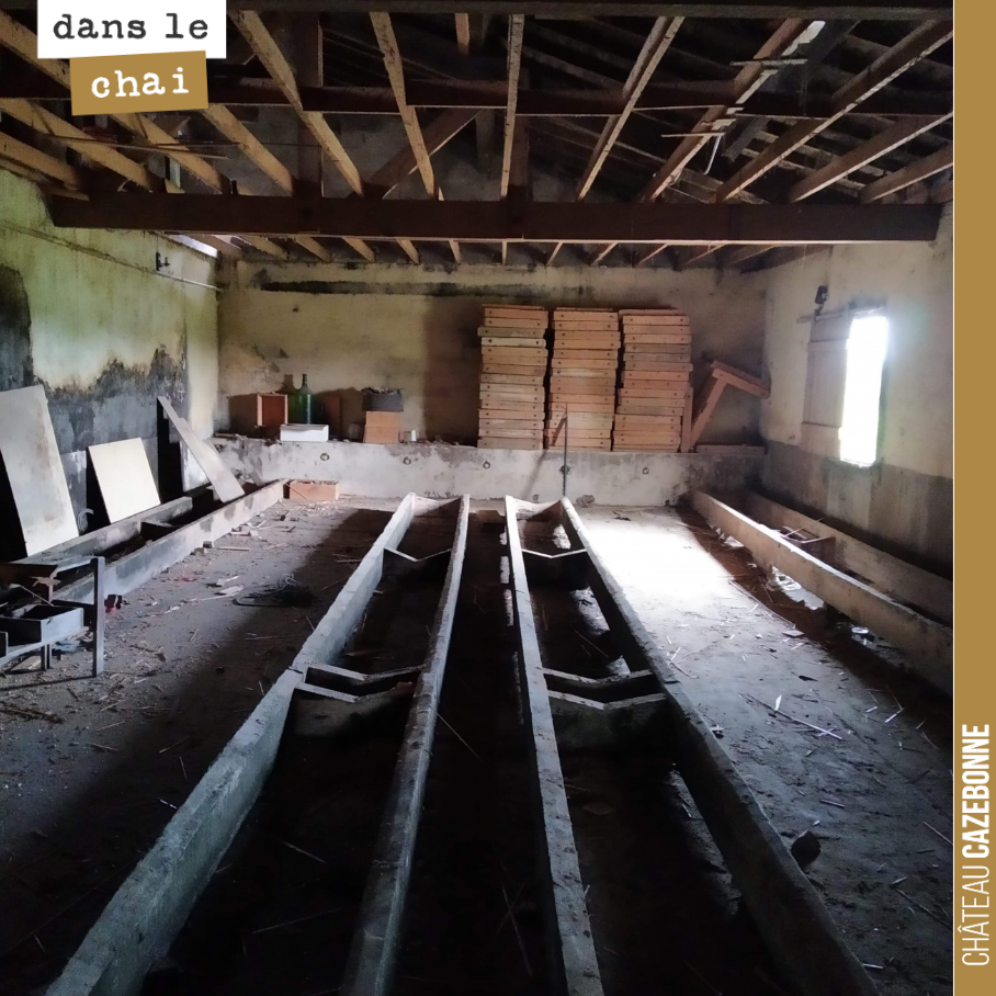 Les travaux avancent sur notre chai d’élevage. On pourra à la rentrée placer ici jusqu’à 300 barriques de vin. On a de quoi voir venir !