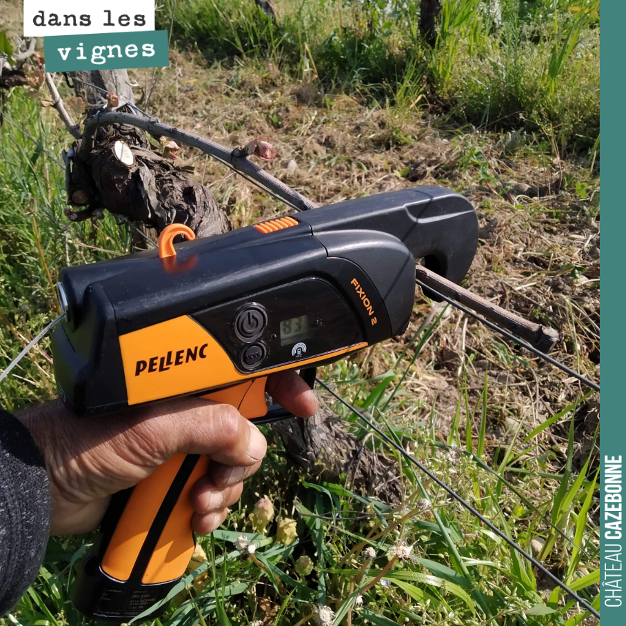 On attache nos derniers sarments. Il ne fallait pas traîner. Plus on attend et plus on prend le risque de casser les bourgeons en attachant les astes.
Cette machine nous est d’une grande aide et no...