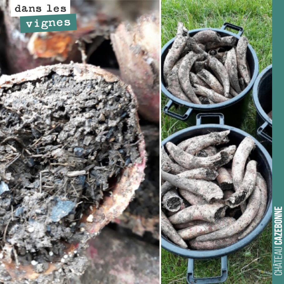 La semaine dernière, nous avons déterré les cornes de bouse que nous avions réalisées avant l’hiver avec nos amis vignerons de l’association Dynamis.
Nous voilà, avec un stock suffisant pour passer...