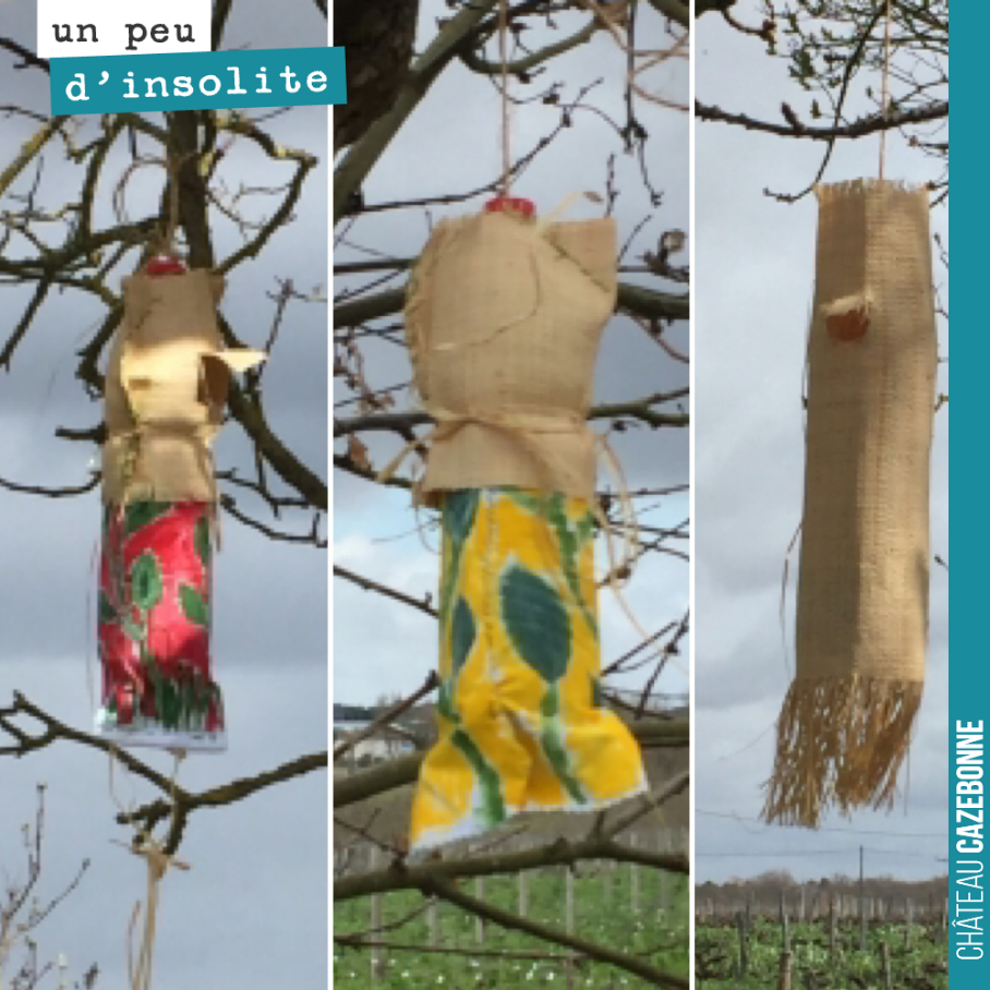 Francis et Carolina (artiste plasticienne), ont élaborés des pièges à frelons asiatiques qui sont aujourd’hui suspendus prêt de notre chai de Peyron.
Espérons qu’ils nous porteront bonheur pour ce ...