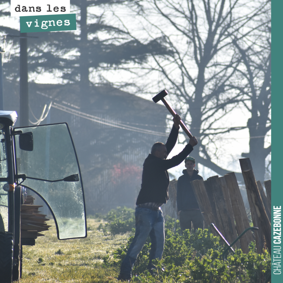 Bruno est à la manœuvre pour refaire les piquets de coin de nos rangs de vigne. Certains en avaient bien besoin.
Les travaux d’hiver touchent à leur fin. Il était temps parce que la pousse de la v...