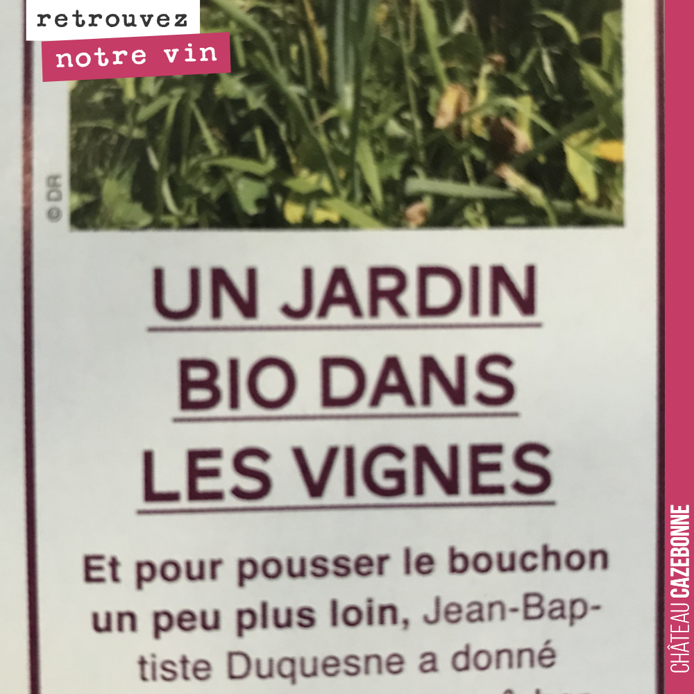 Cela fait toujours plaisir de retrouver un article sur notre jardin dans les vignes.
Merci Emilie Dubrul de Vivre Bordeaux