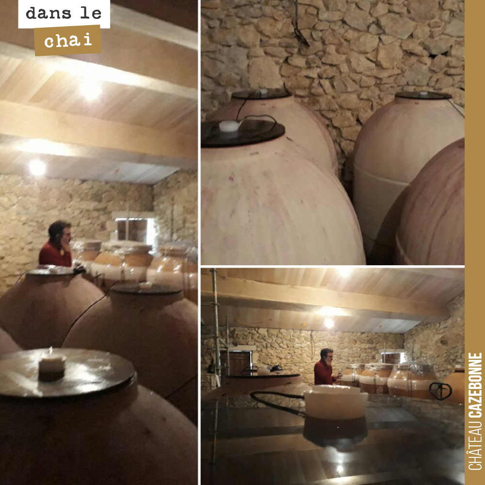 On est retourné déguster le millésime 2018 de Liber Pater, pour voir ce que cela donne, une fois les fermentations terminées.
Les cabernet-sauvignons sont impressionnants, du pur velours. Les peti...