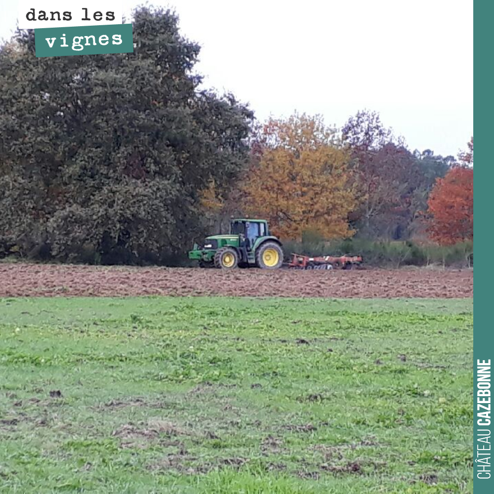Passage de crover crop sur notre parcelle du Maine avant semis de céréales anciennes.
Après la récolte, nous planterons ici sur deux hectares des cépages oubliés de Bordeaux, certainement du Manci...