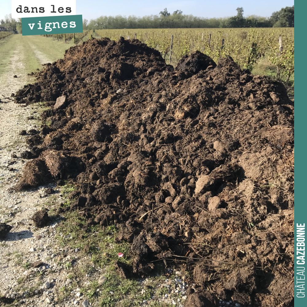 On va étendre cette année 200 tonnes de composts et fumiers sur nos vignes qui manquent encore de matière organique pour avoir des sols parfaitement vivants.
On n’aura de cesse de travailler avant...