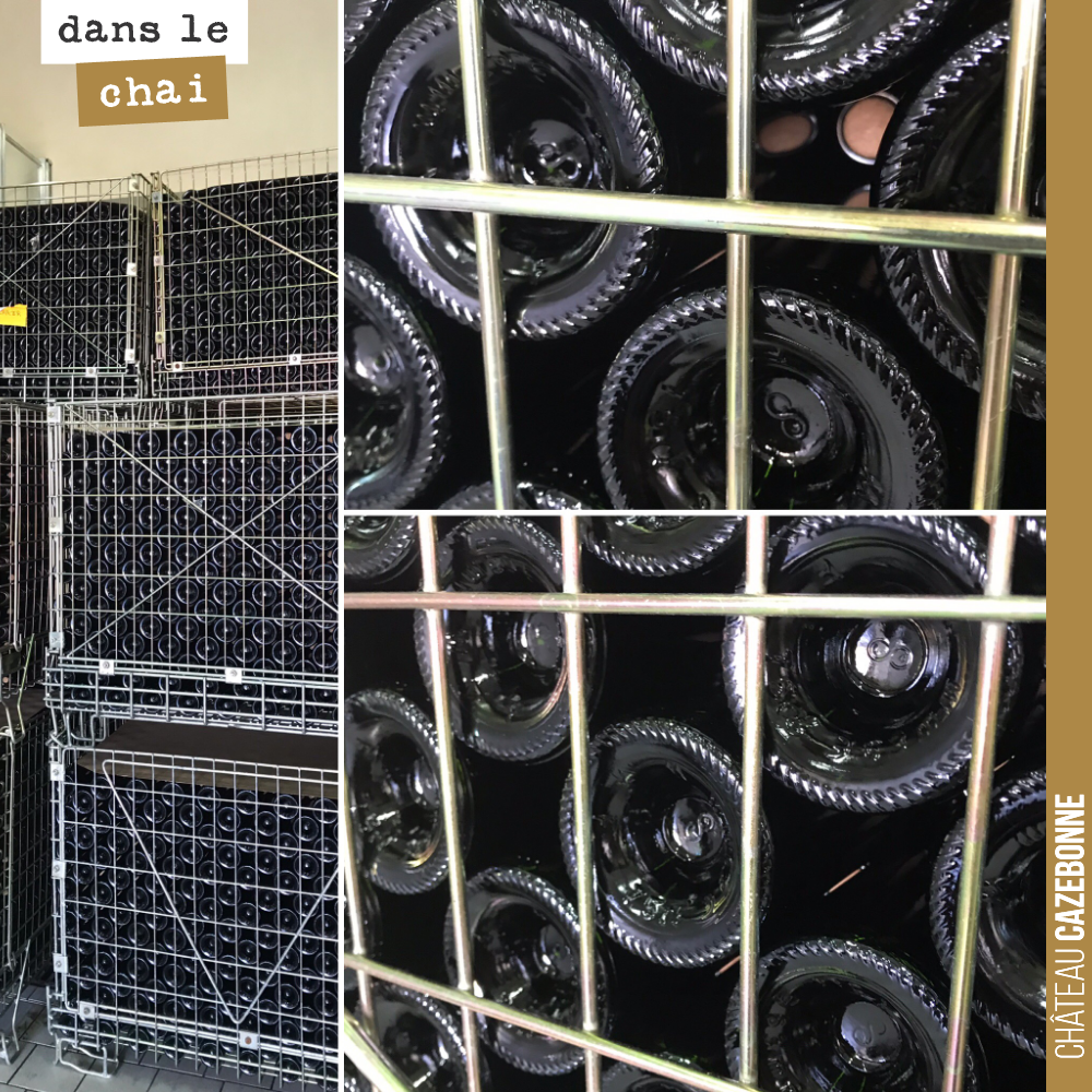 21 000 bouteilles de notre cuvée rouge ‘Entre amis’ attendent sagement avant leur commercialisation.
Il faudra attendre quelques mois. Le vin a la maladie de la bouteille, il n’est jamais bon de l...