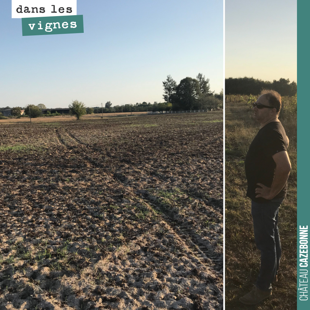 David contemple la parcelle du Maine que nous allons planter au printemps, probablement en franc de pied.
Nous attendons les résultats des analyses de sols.