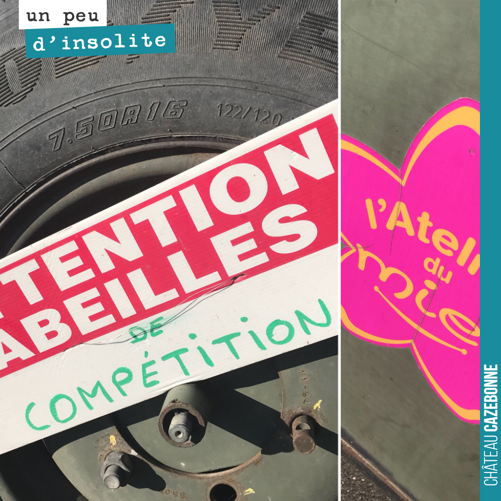 On est bien sûr allé demander à l’apiculteur de quoi il s’agissait pour ces abeilles de compétition.
Il s’agit d’abeilles noires.