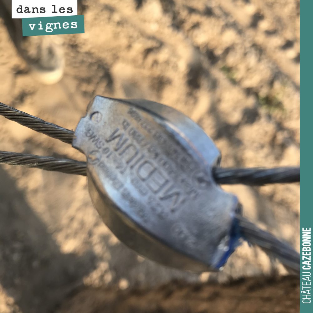 Do you know what this is?