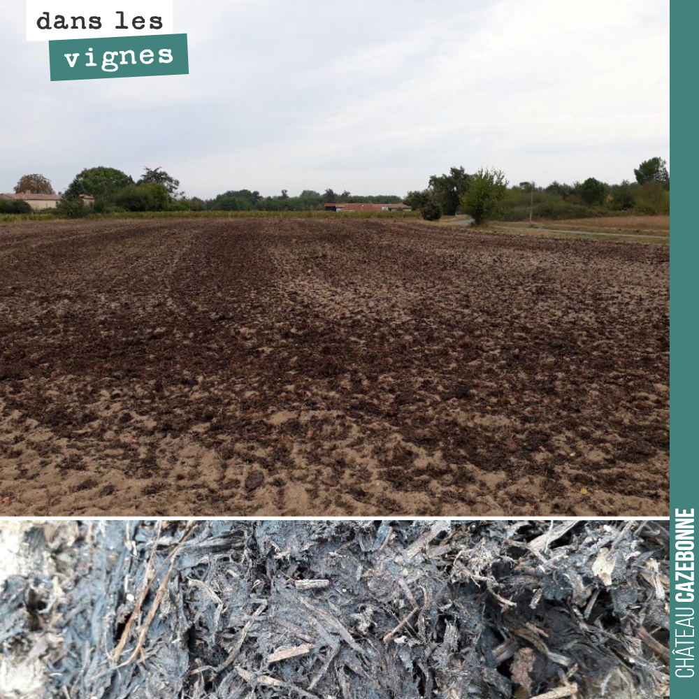 Nous avons épandu au final, 120 tonnes de fumier sur 2,5 hectares pour nos futures plantations sur les parcelles du Maine.
On a besoin de reconstituer la matière organique pour relancer la vie de...