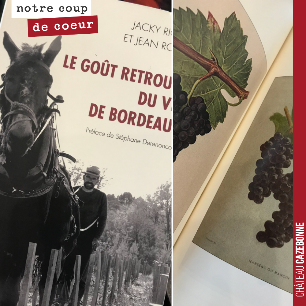 Depuis quelques jours, ce livre alimente le débat dans la communauté des passionnés de vin. Les plus critiques dénoncent le caractère publicitaire de ce livre, pour la promotion d’un vin (Liber Pat...