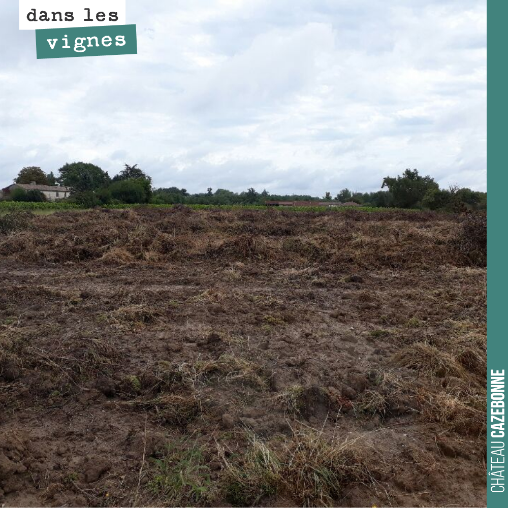 On voit le bout sur l’ilôt du Maine. Demain tout sera défriché. Il nous reste à faire passer un broyeur forestier sur les bordures et les tas, avant le covercrop et la herse. Ensuite on sèmera pour...