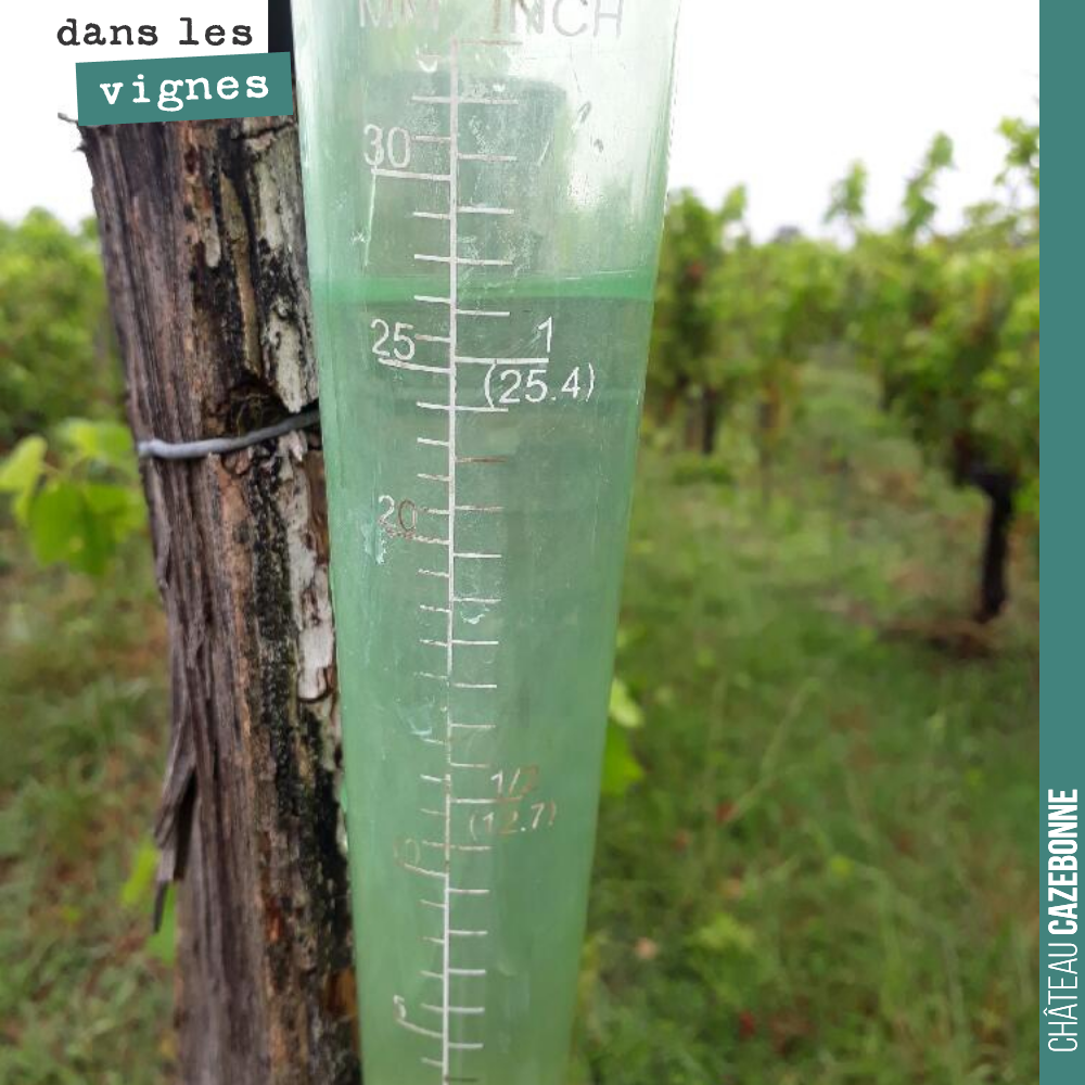 Il est tombé 27 mm de pluie cette nuit. On va pouvoir souffler pour l’arrosage des jeunes plantes qui souffraient par cette canicule.