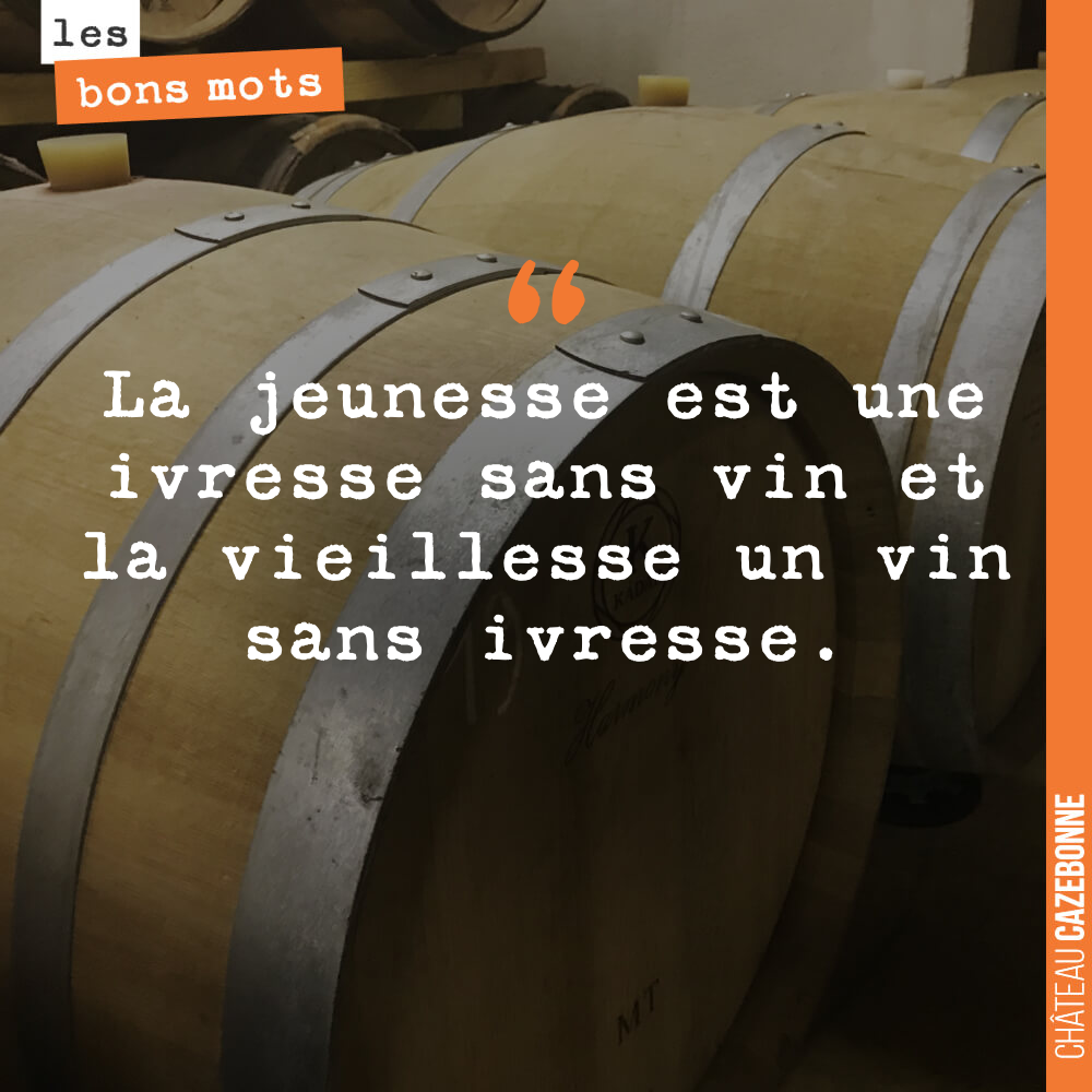 La jeunesse est une ivresse sans vin et la vieillesse un vin sans ivresse.