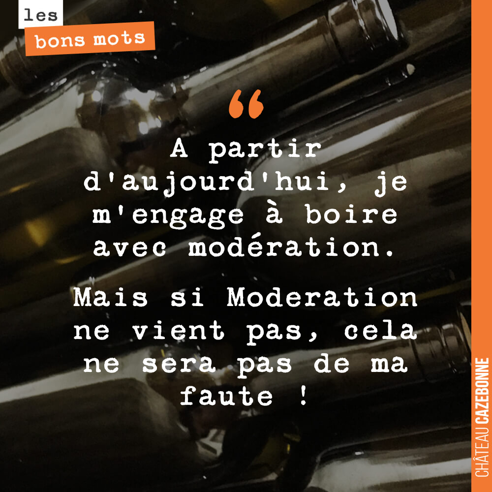 A partir d'aujourd'hui, je m'engage à boire avec modération. Mais si Moderation ne vient pas, cela ne sera pas de ma faute !