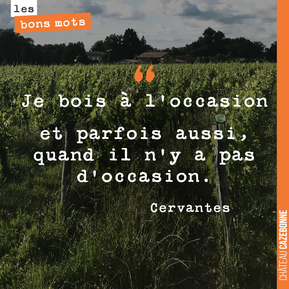 Je bois à l'occasion et parfois aussi, quand il n'y a pas d'occasion.
