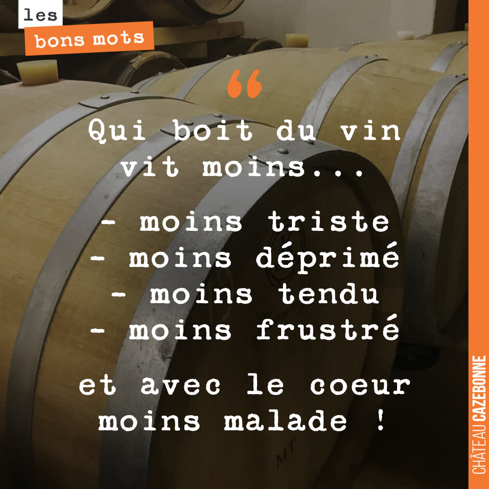 Qui boit du vin vit moins... - moins triste - moins déprimé - moins tendu - moins frustré et avec le coeur moins malade !