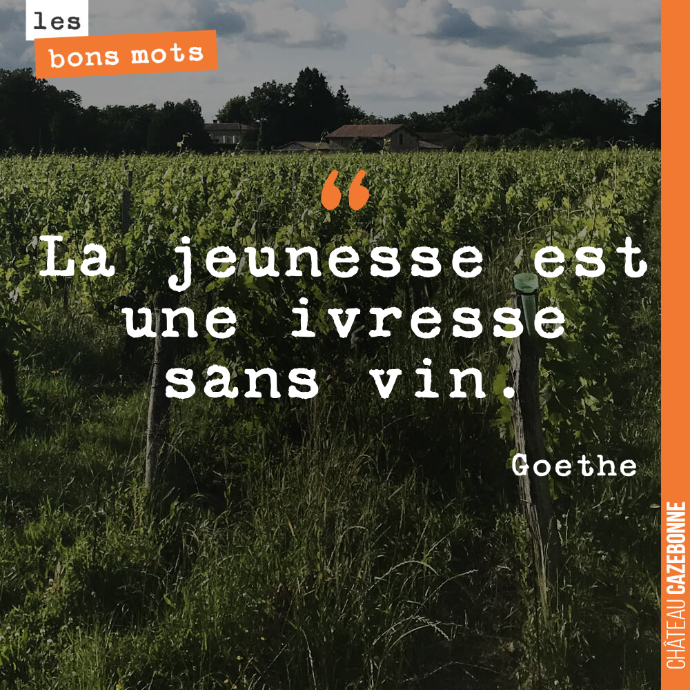 La jeunesse est une ivresse sans vin