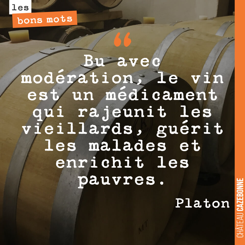 Bu avec modération, le vin est un médicament qui rajeunit les vieillards, guérit les malades et enrichit les pauvres.