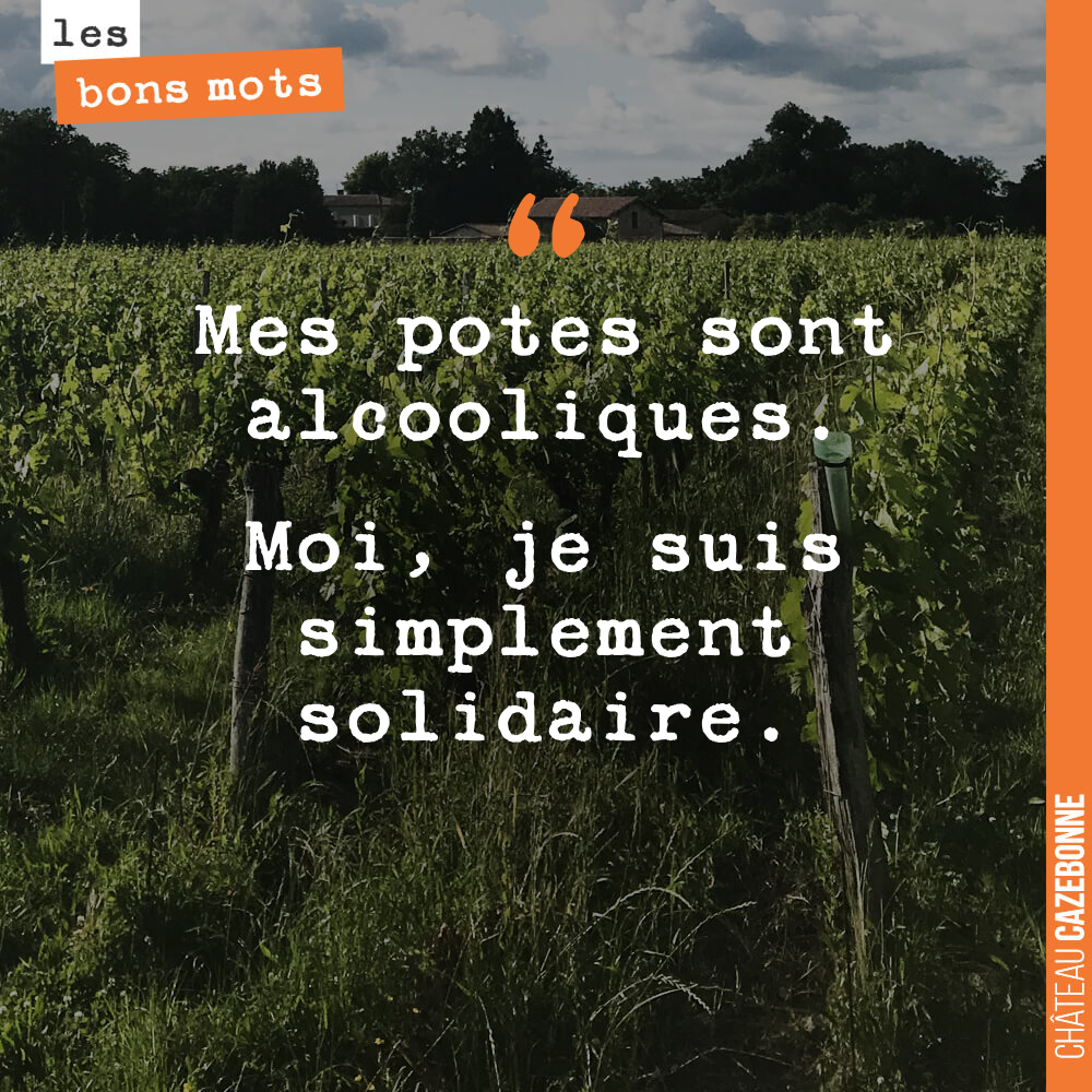 Mes potes sont alcooliques. Moi, je suis simplement solidaire.