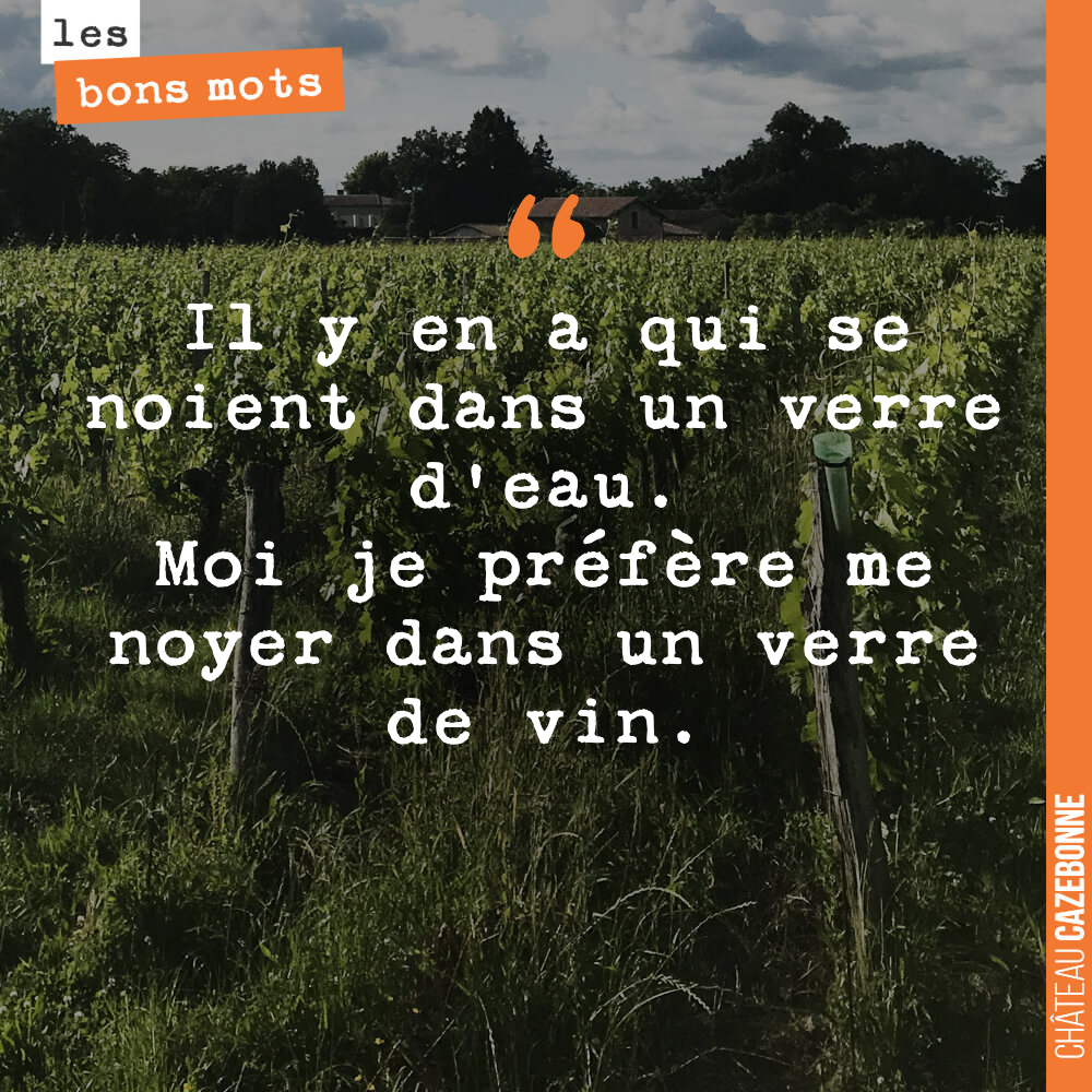 Il y en a qui se noient dans un verre d'eau. Moi je préfère me noyer dans un verre de vin.
