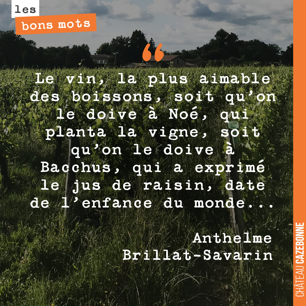 Le vin, la plus aimable des boissons, soit qu'on le doive à Noé, qui planta la vigne, soit qu'on le doive à Bacchus, qui a exprimé le jus de raisin, date de l'enfance du monde...