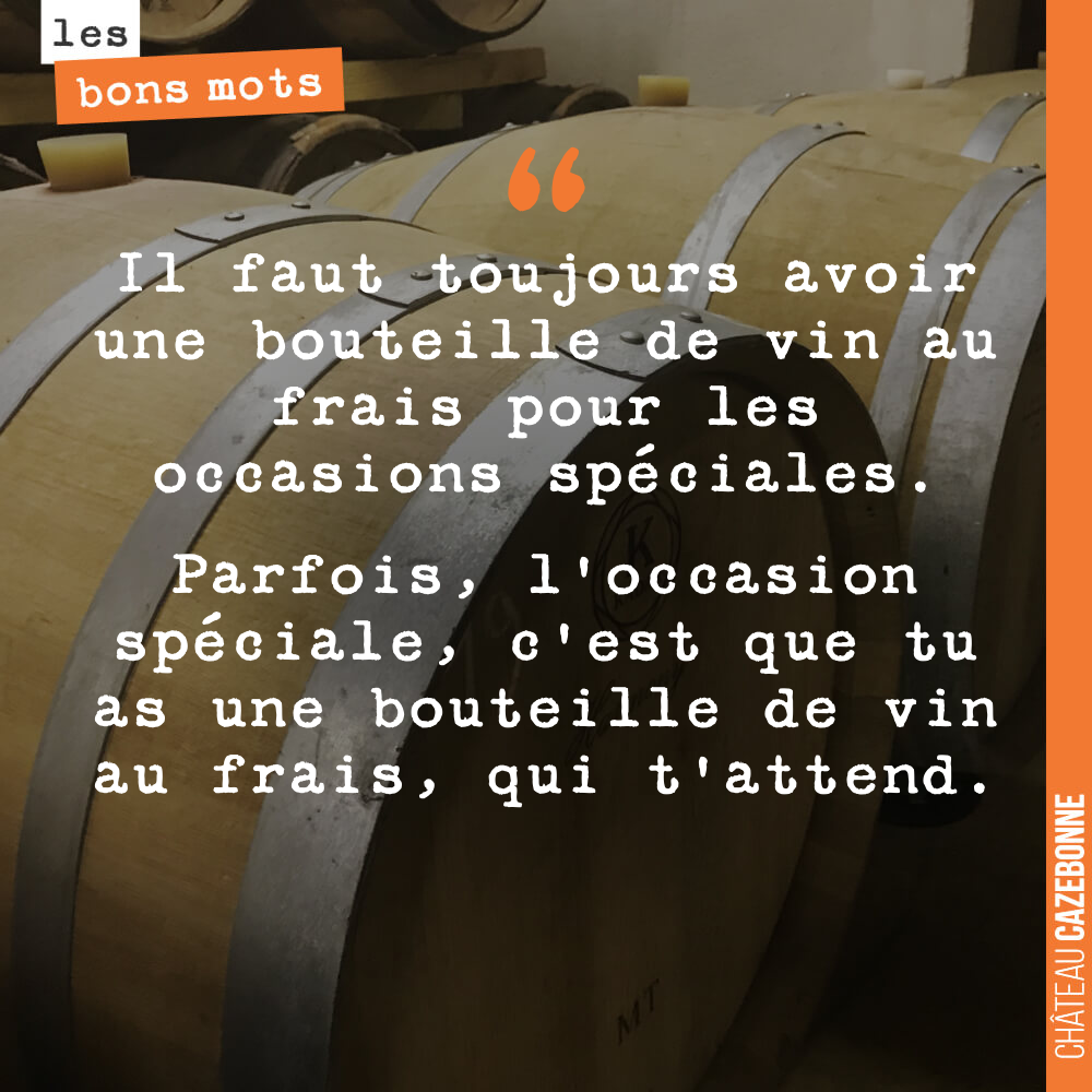 Il faut toujours avoir une bouteille de vin au frais pour les occasions spéciales. Parfois, l'occasion spéciale, c'est que tu as une bouteille de vin au frais, qui t'attend.