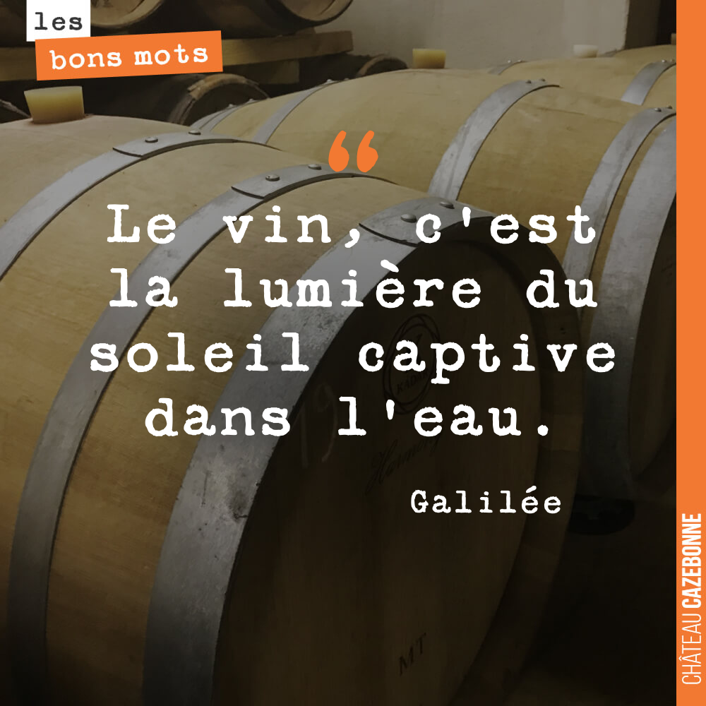 Le vin, c'est la lumière du soleil captive dans l'eau.