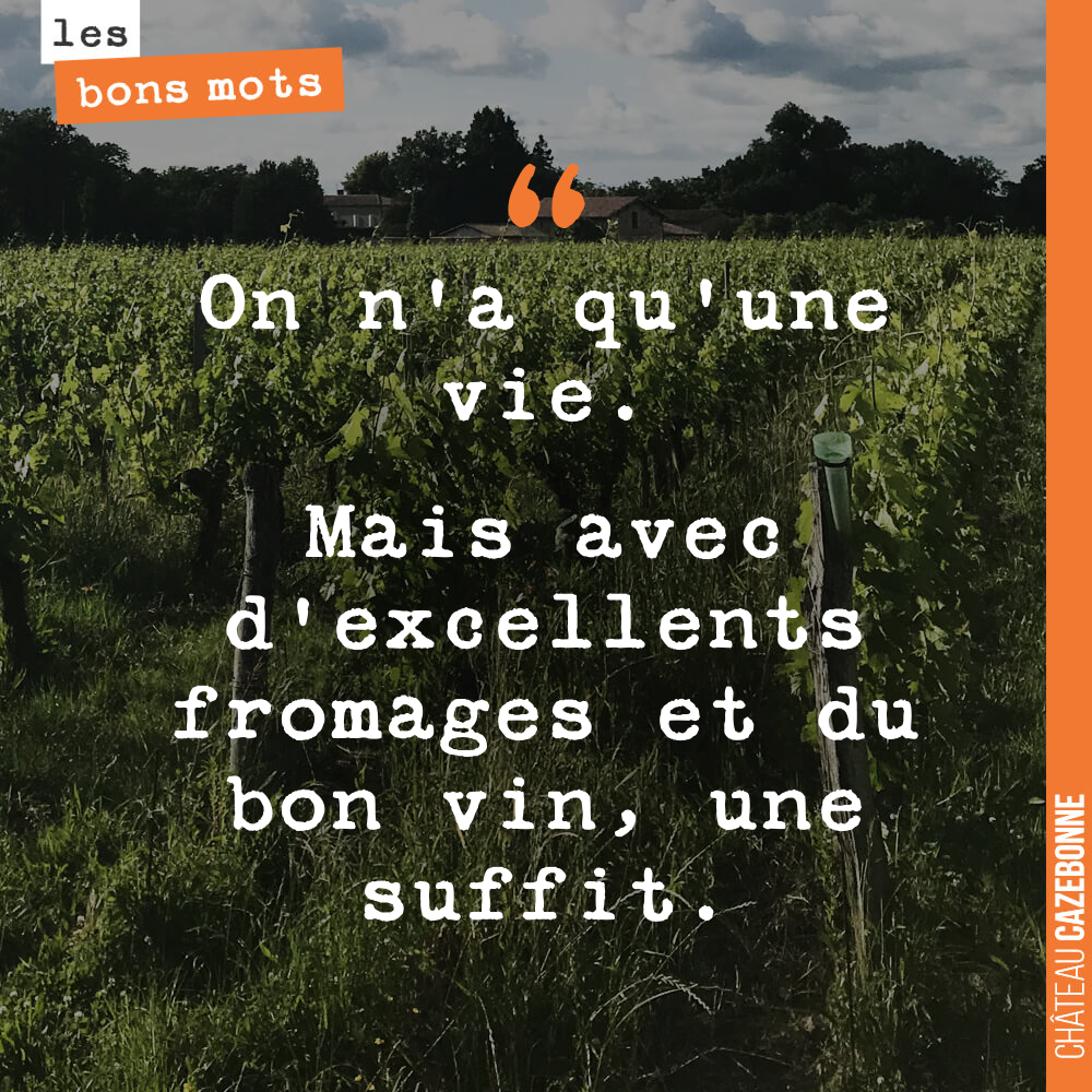 On n'a qu'une vie. Mais avec d'excellents fromages et du bon vin, une suffit.
