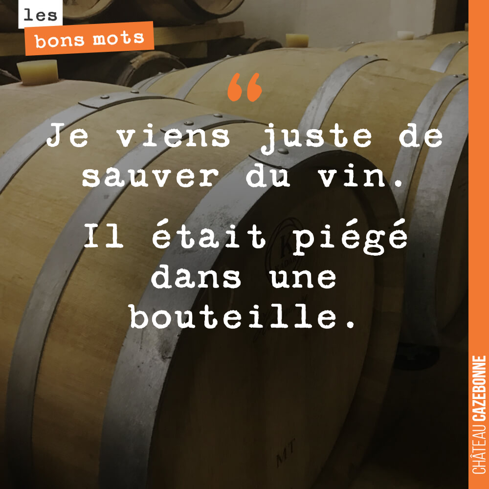 Je viens juste de sauver du vin. Il était piégé dans une bouteille.