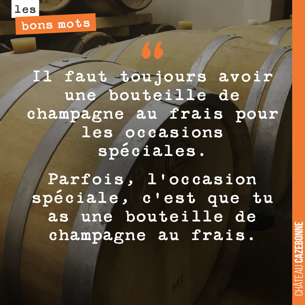 Il faut toujours avoir une bouteille de champagne au frais pour les occasions spéciales. Parfois, l'occasion spéciale, c'est que tu as une bouteille de champagne au frais.