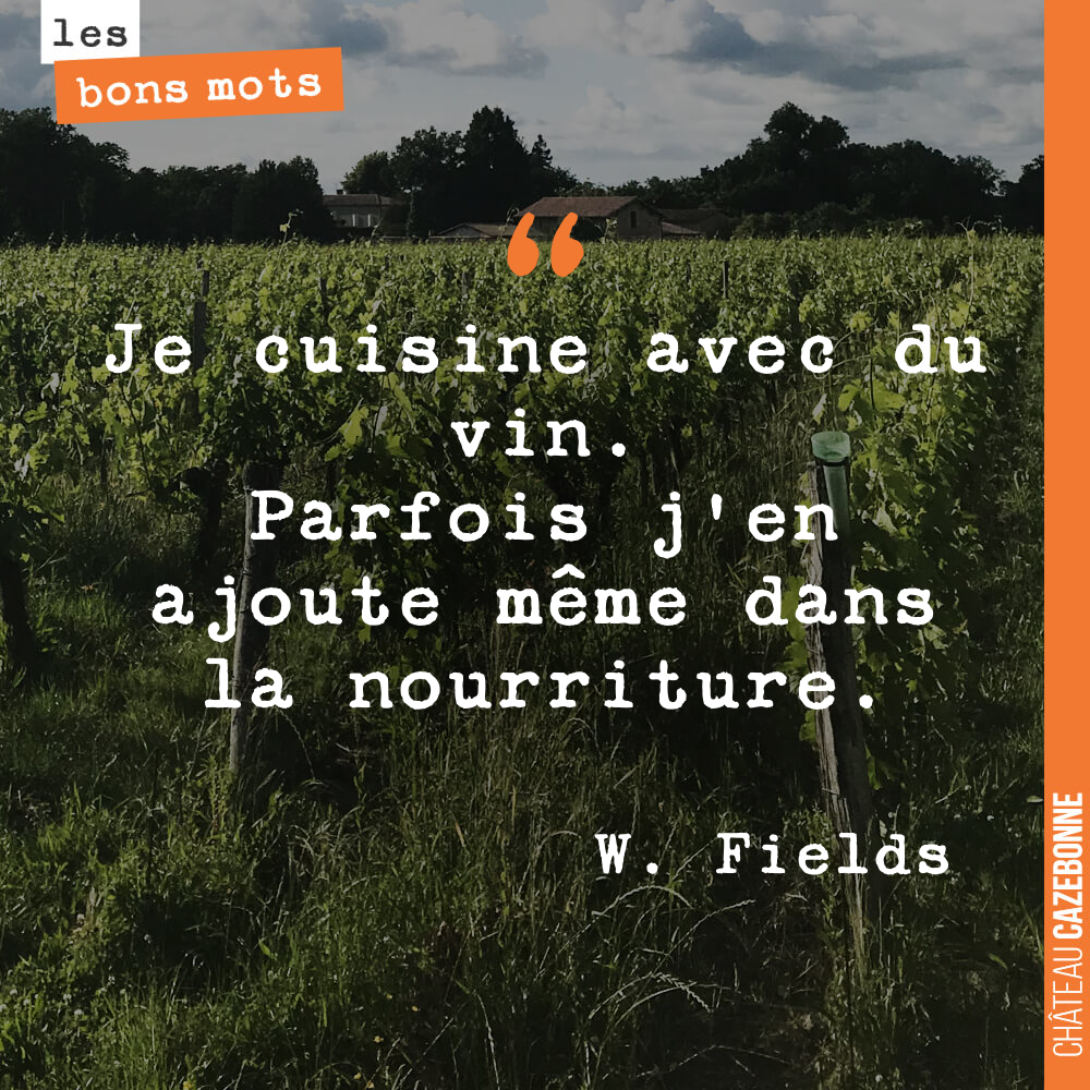 Je cuisine avec du vin. Parfois j'en ajoute même dans la nourriture.