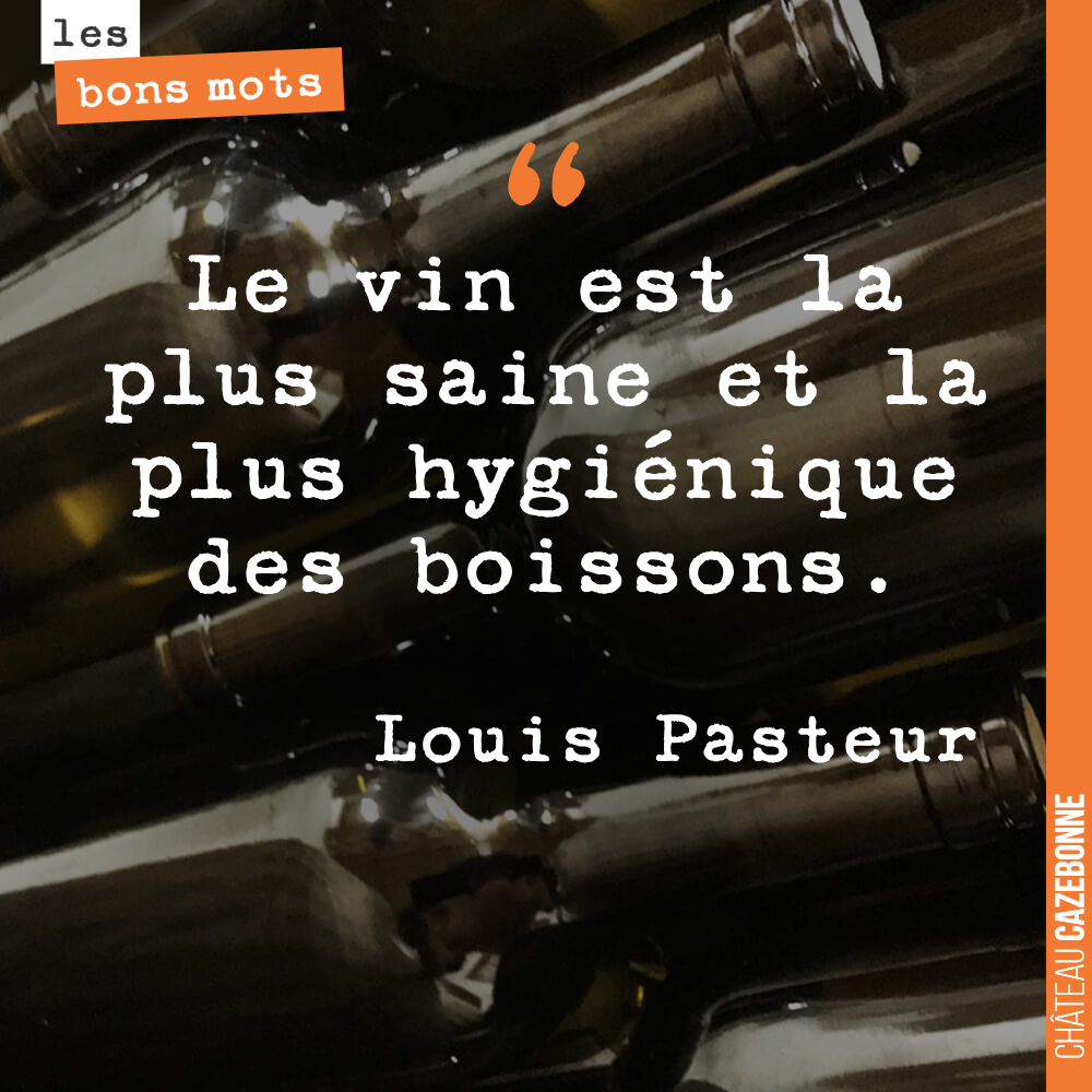 Le vin est la plus saine et la plus hygiénique des boissons