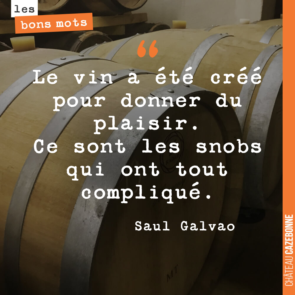 Le vin a été créé pour donner du plaisir. Ce sont les snobs qui ont tout compliqué.