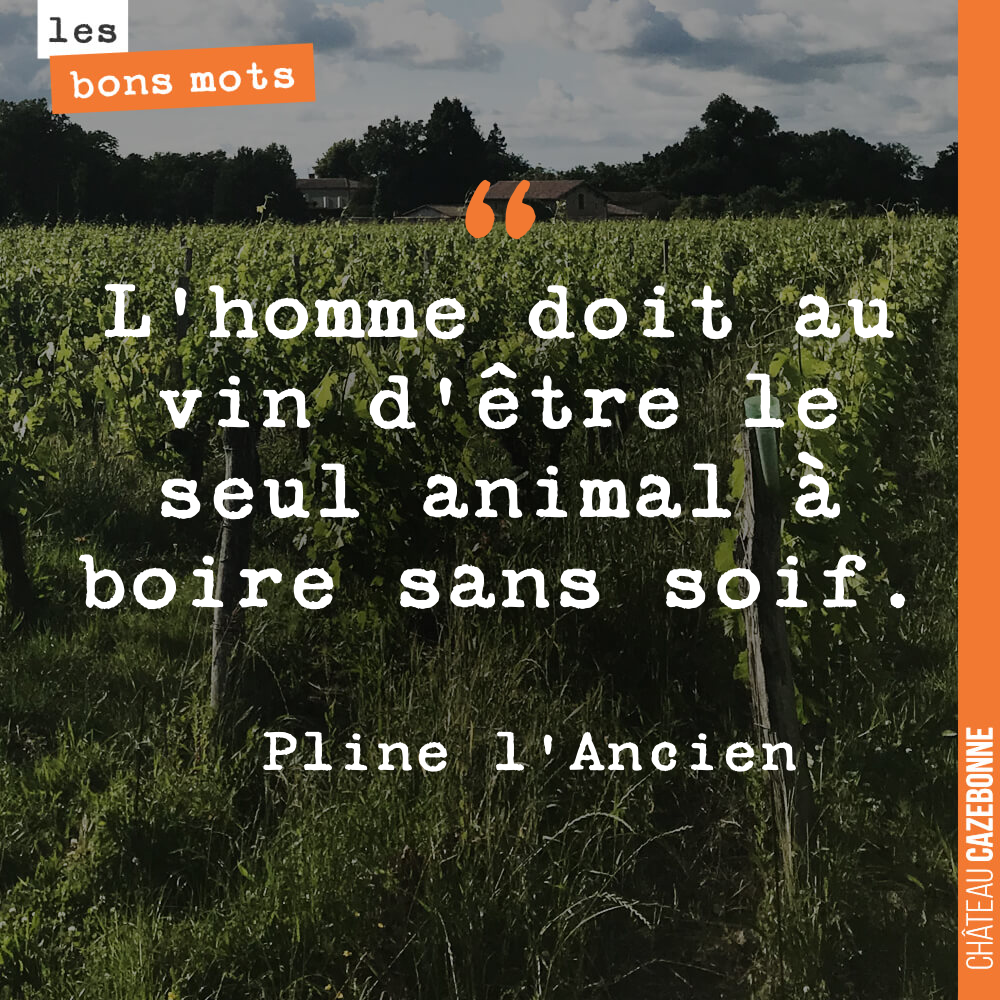 L'homme doit au vin d'être le seul animal à boire sans soif.