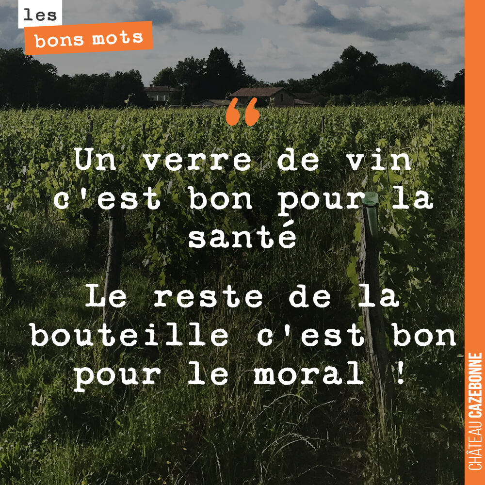 Un verre de vin c'est bon pour la santé Le reste de la bouteille c'est bon pour le moral !