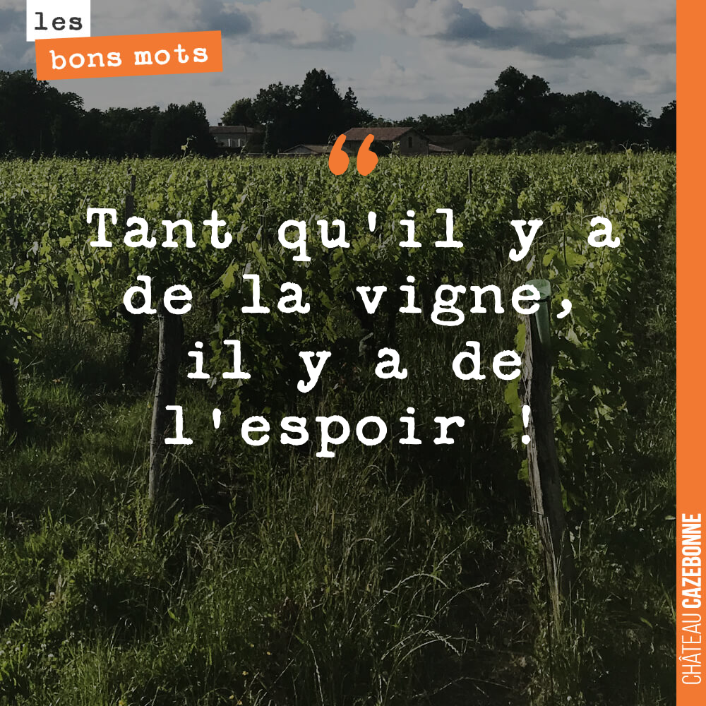 Tant qu'il y a de la vigne, il y a de l'espoir !