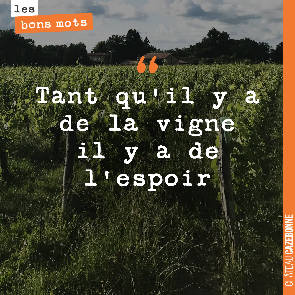 Tant qu'il y a de la vigne il y a de l'espoir