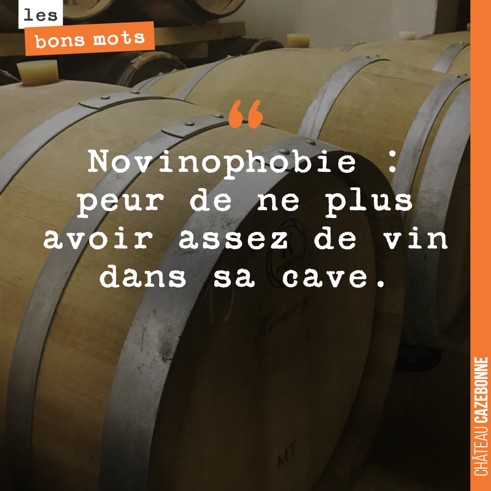 Novinophobie : peur de ne plus avoir assez de vin dans sa cave.