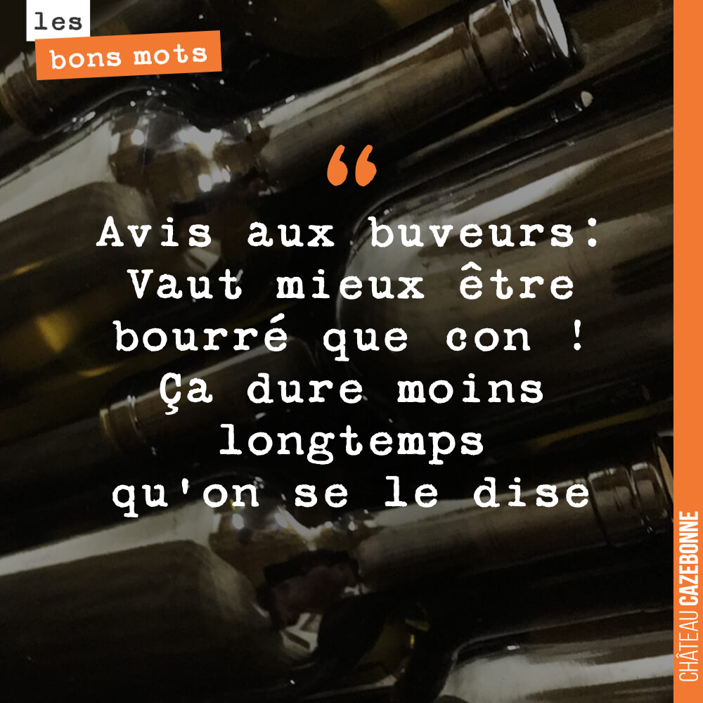 Avis aux buveurs: Vaut mieux être bourré que con ! Ça dure moins longtemps qu'on se le dise
