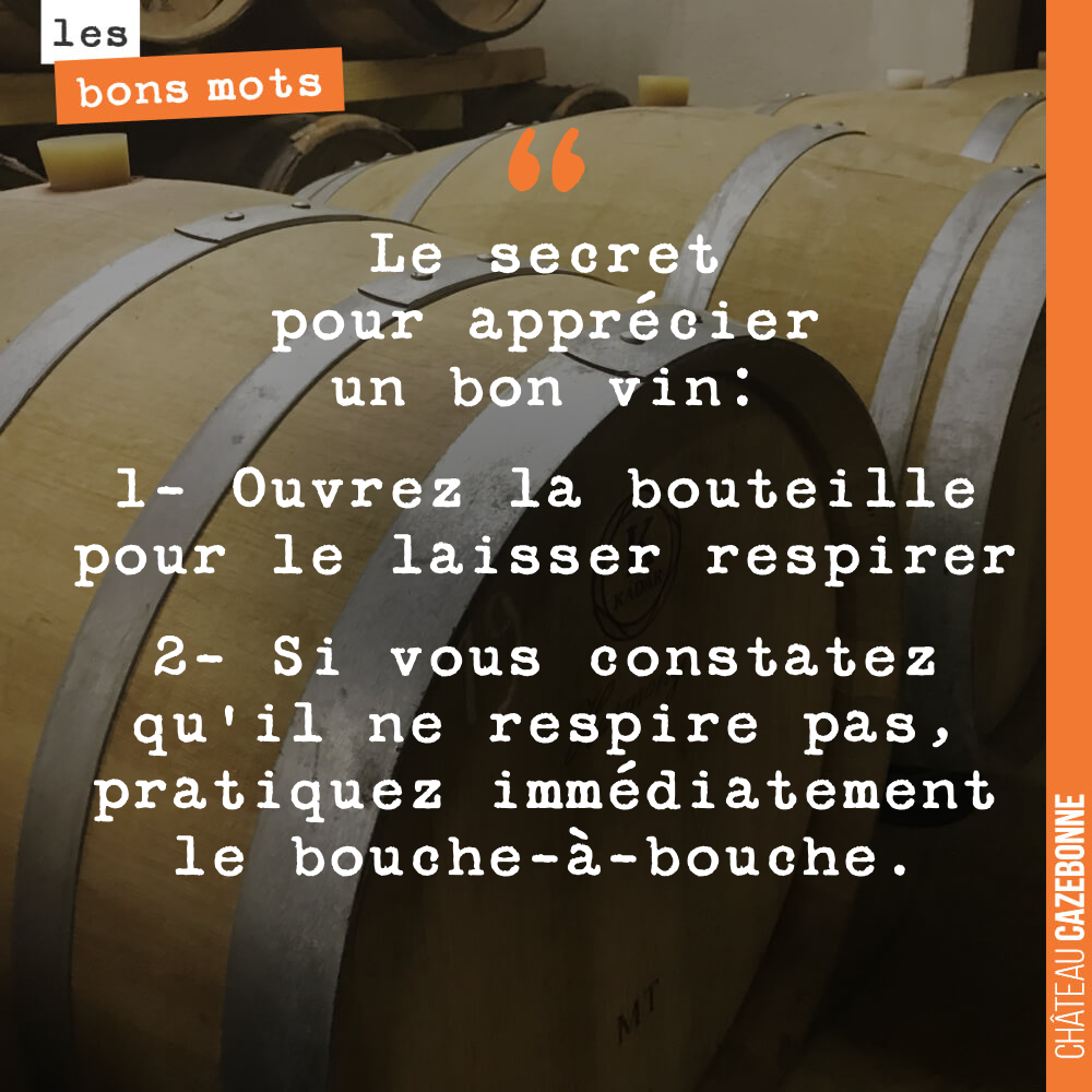 Le secret pour apprécier un bon vin: 1- Ouvrez la bouteille pour le laisser respirer 2- Si vous constatez qu'il ne respire pas, pratiquez immédiatement le bouche-à-bouche.