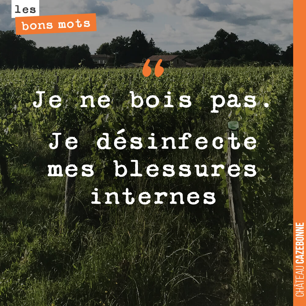 Je ne bois pas. Je désinfecte mes blessures internes