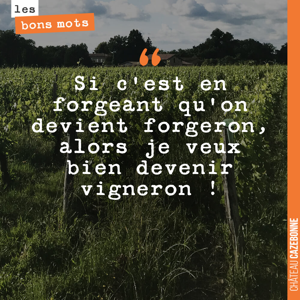 Si c'est en forgeant qu'on devient forgeron, alors je veux bien devenir vigneron !